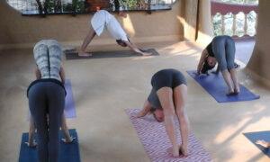 Hatha Yoga Classes - asana, pranayama - YogAnga Retreat at Santosh Puri Ashram