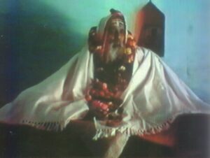 yoganga.org - Santosh Puri Maharaj ki samadhi - namesake and founder of Śri Santosh Puri Ashram