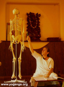 Brahmananda Giri - YogAnga Retreat Hatha Yoga Teacher Training Staff - Yoga Anatomy, Alignment, Asana - yoganga.org - Sri Santosh Puri Ashram Yoga-Anatomy