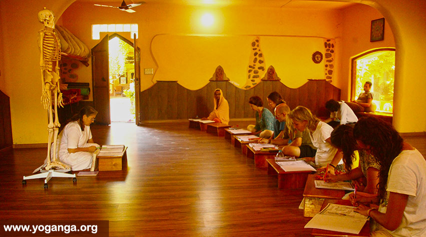 Brahmananda Giri - YogAnga Retreat Hatha Yoga Teacher Training Staff - Yoga Anatomy, Alignment, Asana - yoganga.org - Sri Santosh Puri Ashram Yoga-and-Anatomy-At-YogAnga