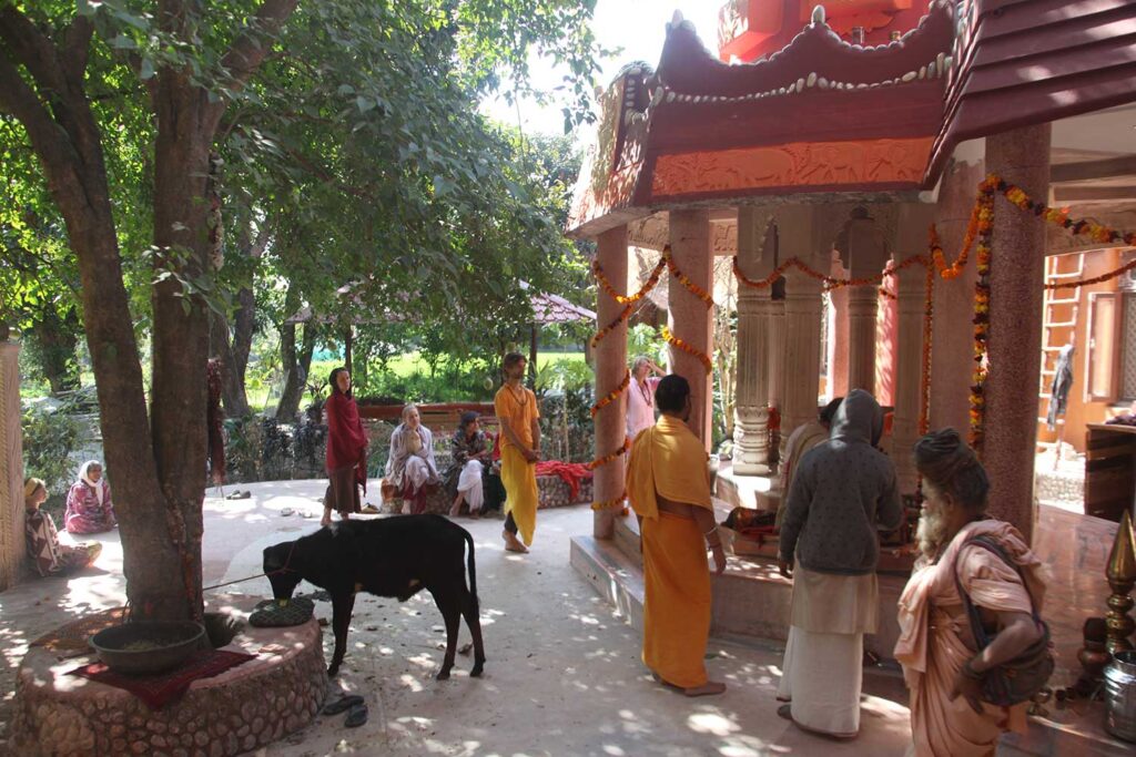 www.yoganga.org - YogAnga Retreat at Sri Santosh Puri Ashram - Maha Shivaratri Celebrations, kirtan, bhang, shivalingam abhishek